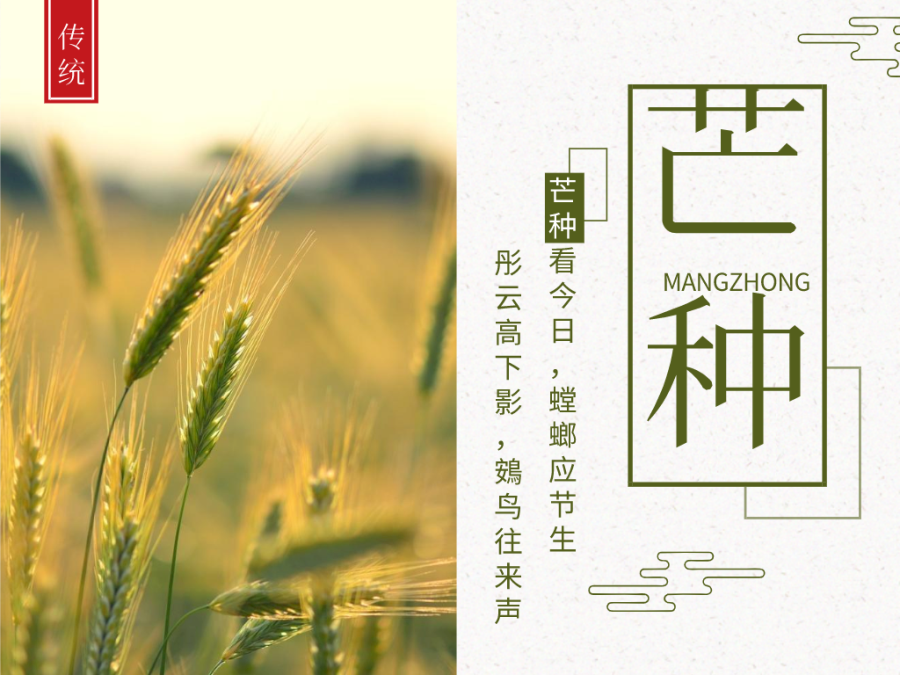 今日芒種，忙有所獲，不負(fù)耕耘！