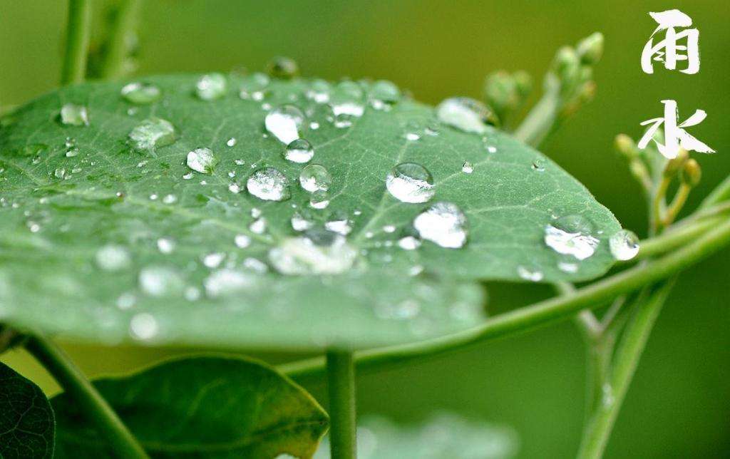 雨水潤萬物，兼顧沙與泥！